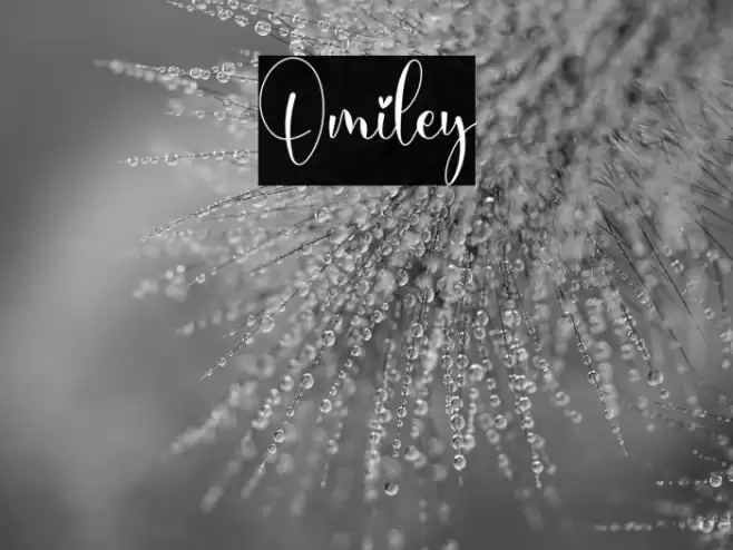 Omiley Font examples