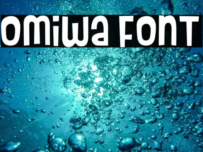Omiwa Example 1