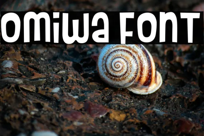 Omiwa Example 2