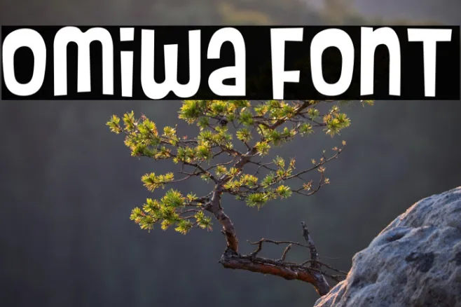 Omiwa Example 3