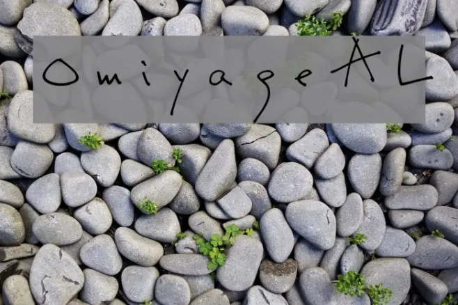 OmiyageAL Example 3