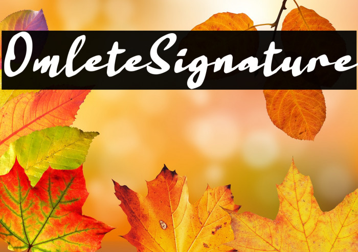 Omlete Signature Example 3