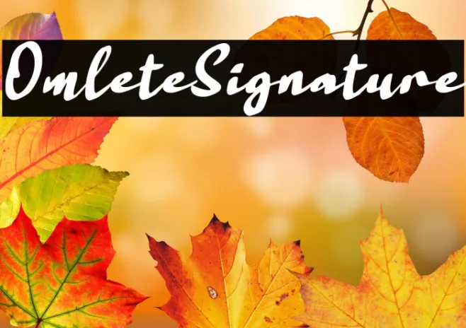 Omlete Signature Example 3