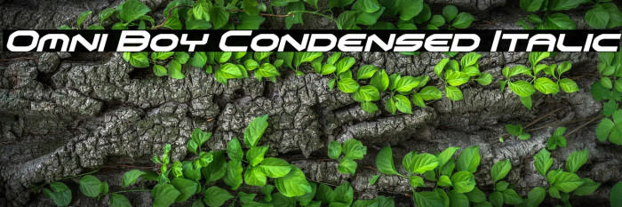 Omni Boy Condensed Italic Example 3