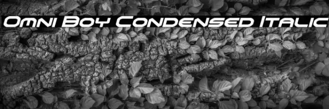 Omni Boy Condensed Italic Font examples