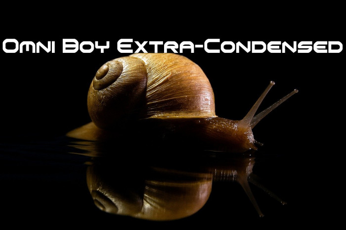 Omni Boy Extra-Condensed Example 1