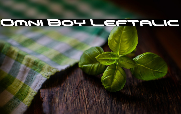 Omni Boy Leftalic Example 1