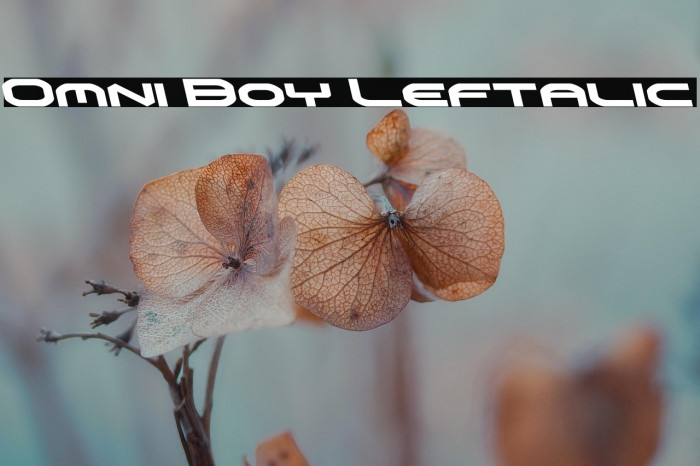 Omni Boy Leftalic Example 2