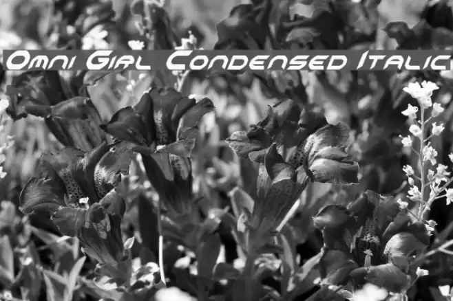 Omni Girl Condensed Italic Font examples