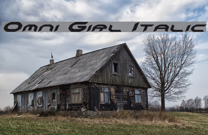 Omni Girl Italic Font examples
