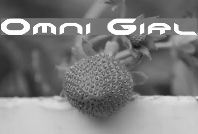 Omni Girl Font examples