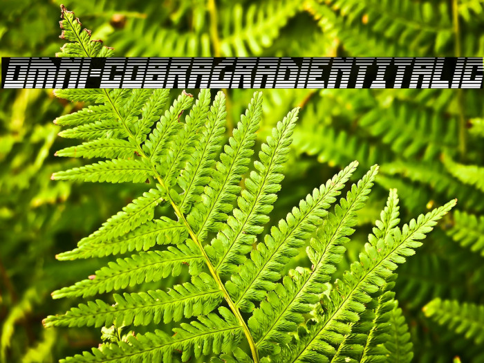 Omni-cobra Gradient Italic Example 2