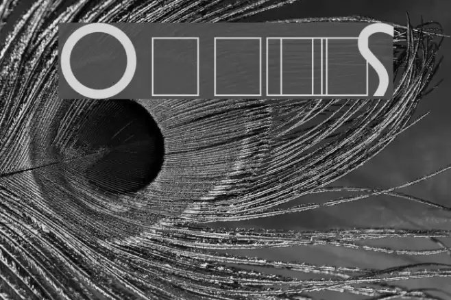 Omnibus Font examples