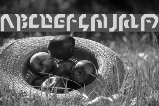 Omnicron Normal Font examples