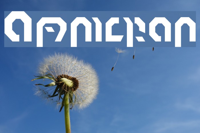 Omnicron Font examples