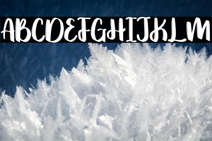 Omniface Demo Version Example 1