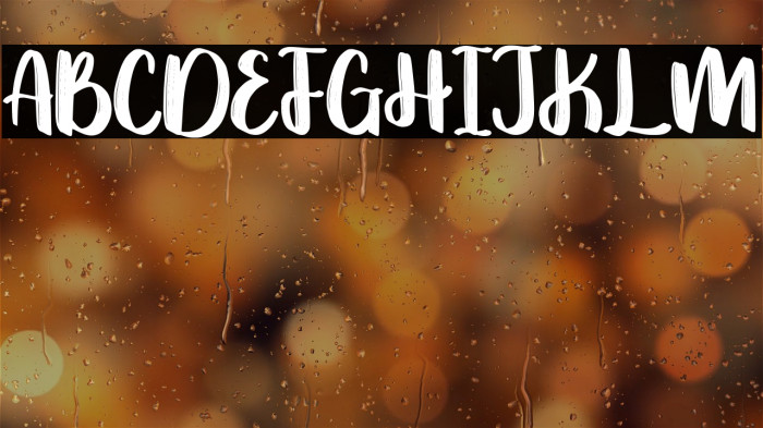 Omniface Demo Version Example 2