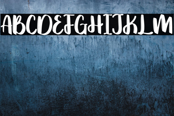 Omniface Demo Version Example 3