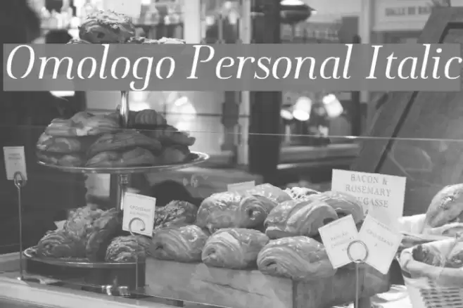 Omologo Personal Italic Font examples