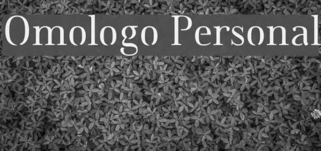 Omologo Personal Font examples