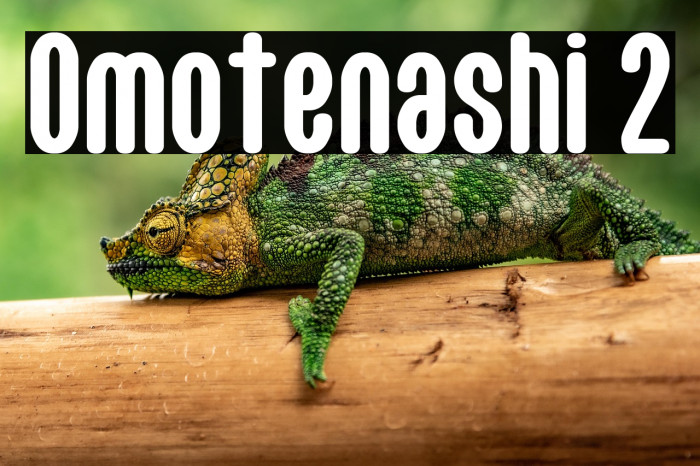 Omotenashi 2 Example 1