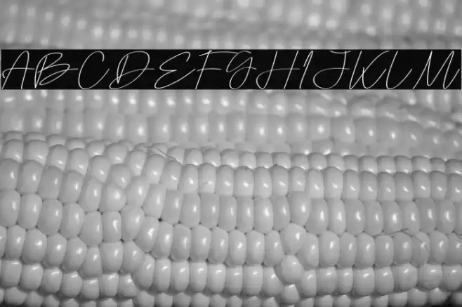 Omotify Polices examples