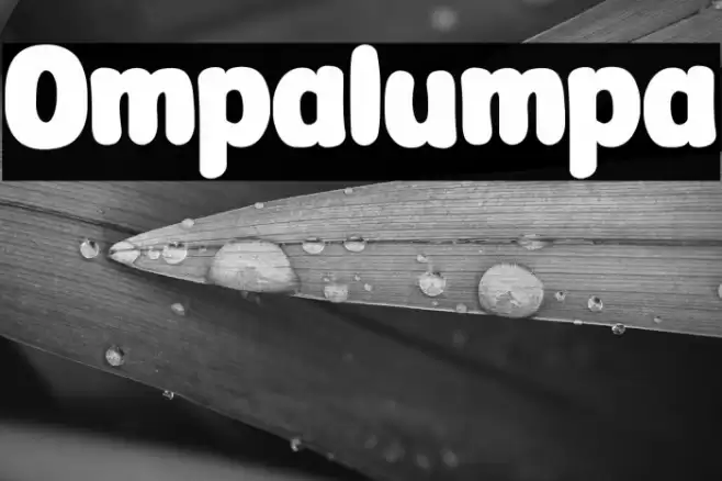 Ompalumpa Font examples