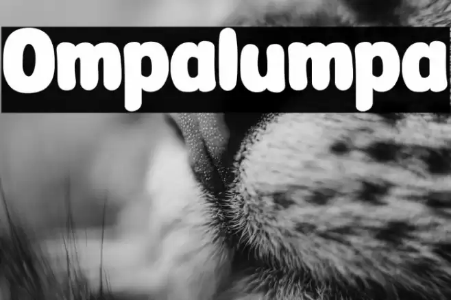 Ompalumpa Font examples