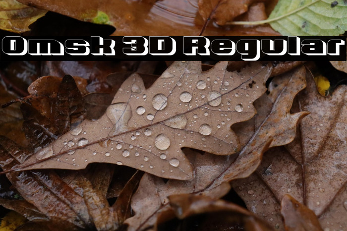 Omsk 3D Regular Example 1