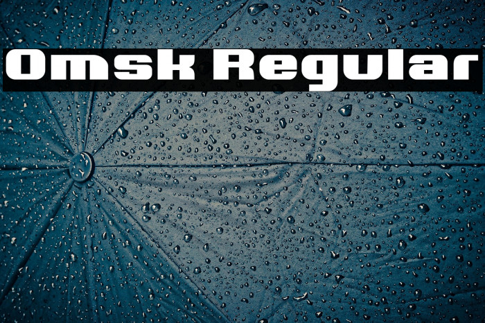 Omsk Regular Example 1