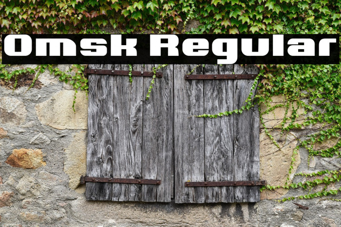 Omsk Regular Example 2