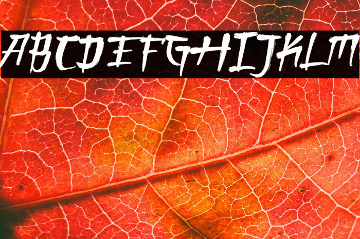 ONIGASHIMA Demo Version Example 1