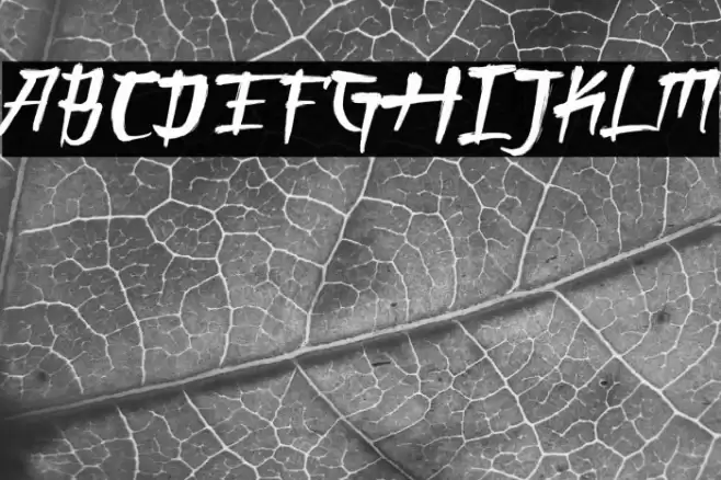 ONIGASHIMA Demo Version Font examples