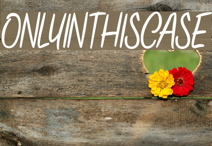 ONLYINTHISCASE Font examples