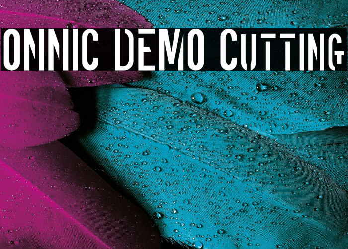 ONNIC DEMO Cutting Example 1