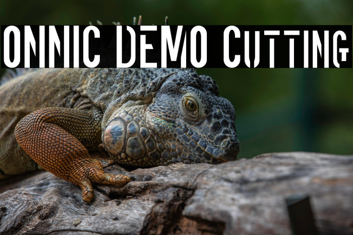 ONNIC DEMO Cutting Example 2