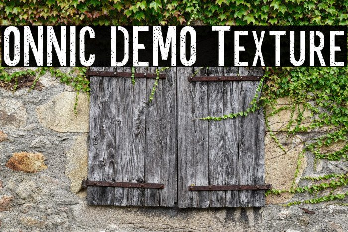 ONNIC DEMO Texture Example 1