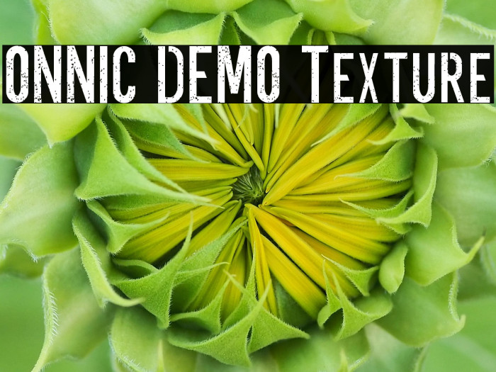 ONNIC DEMO Texture Example 2