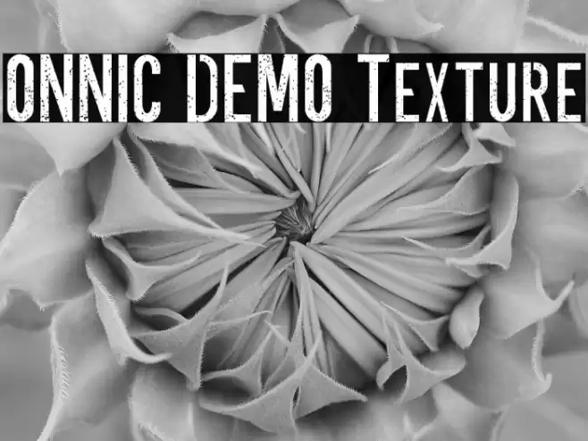 ONNIC DEMO Texture Font examples