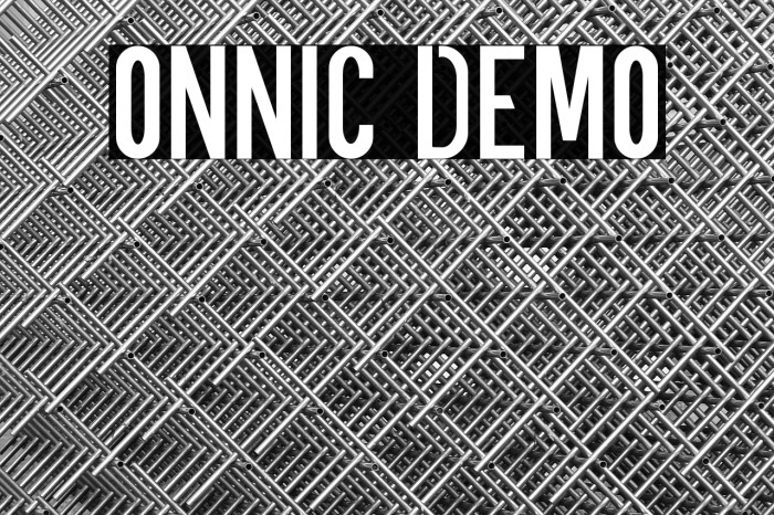 ONNIC DEMO Example 1