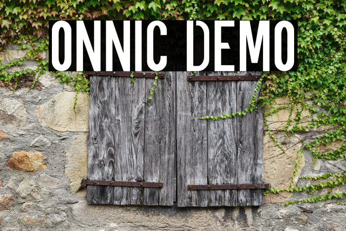 ONNIC DEMO Example 2