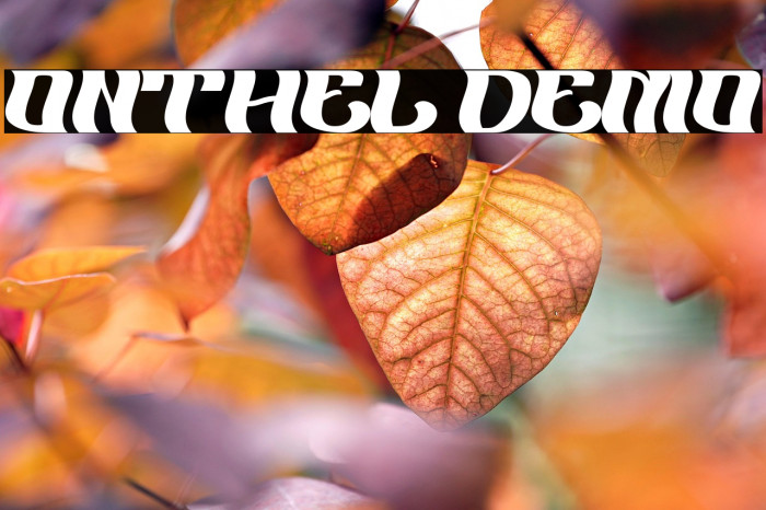 ONTHEL Demo Example 1