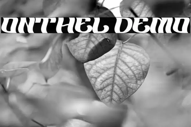 ONTHEL Demo Шрифта examples