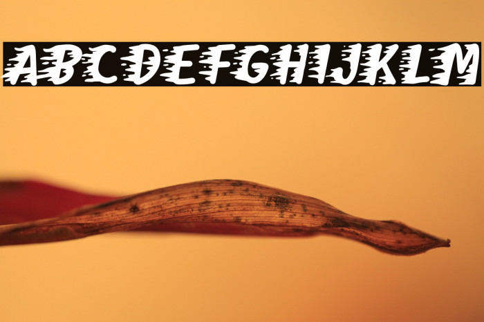 On Fire Free Trial Example 1