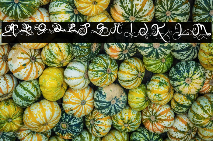 On Spring Monogram Example 2