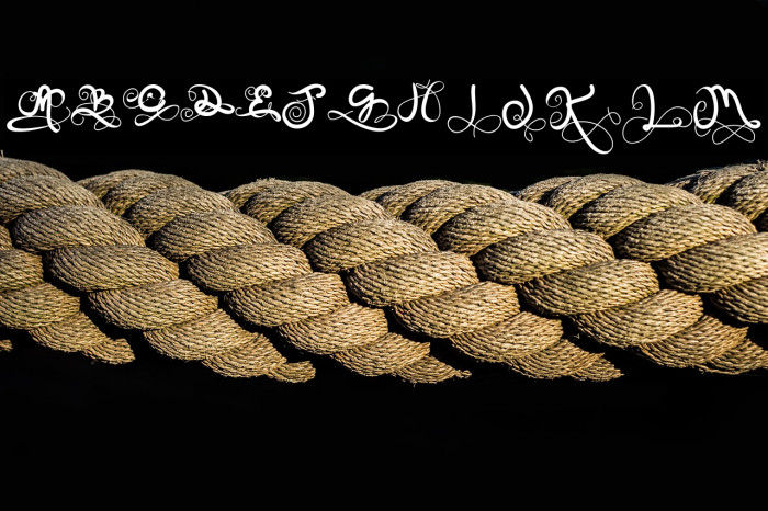 On Spring Monogram Example 3