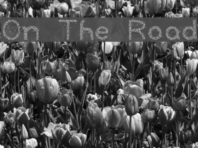 On The Road Font examples