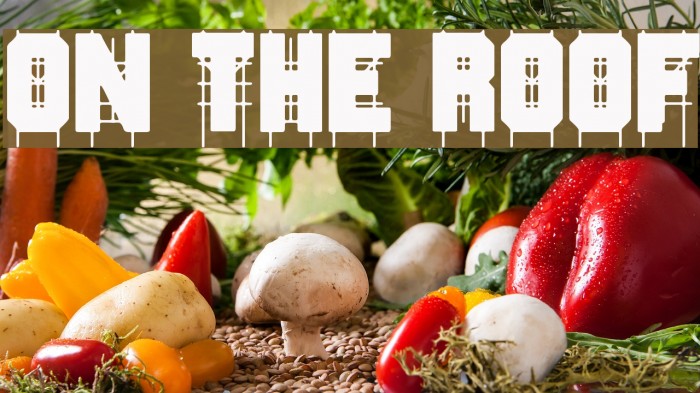 On The Roof Example 3