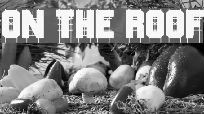 On The Roof Font examples