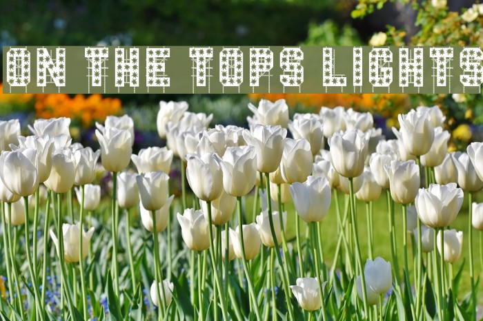 On The Tops Lights Example 2